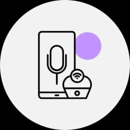Voice Assistant Compatibility
