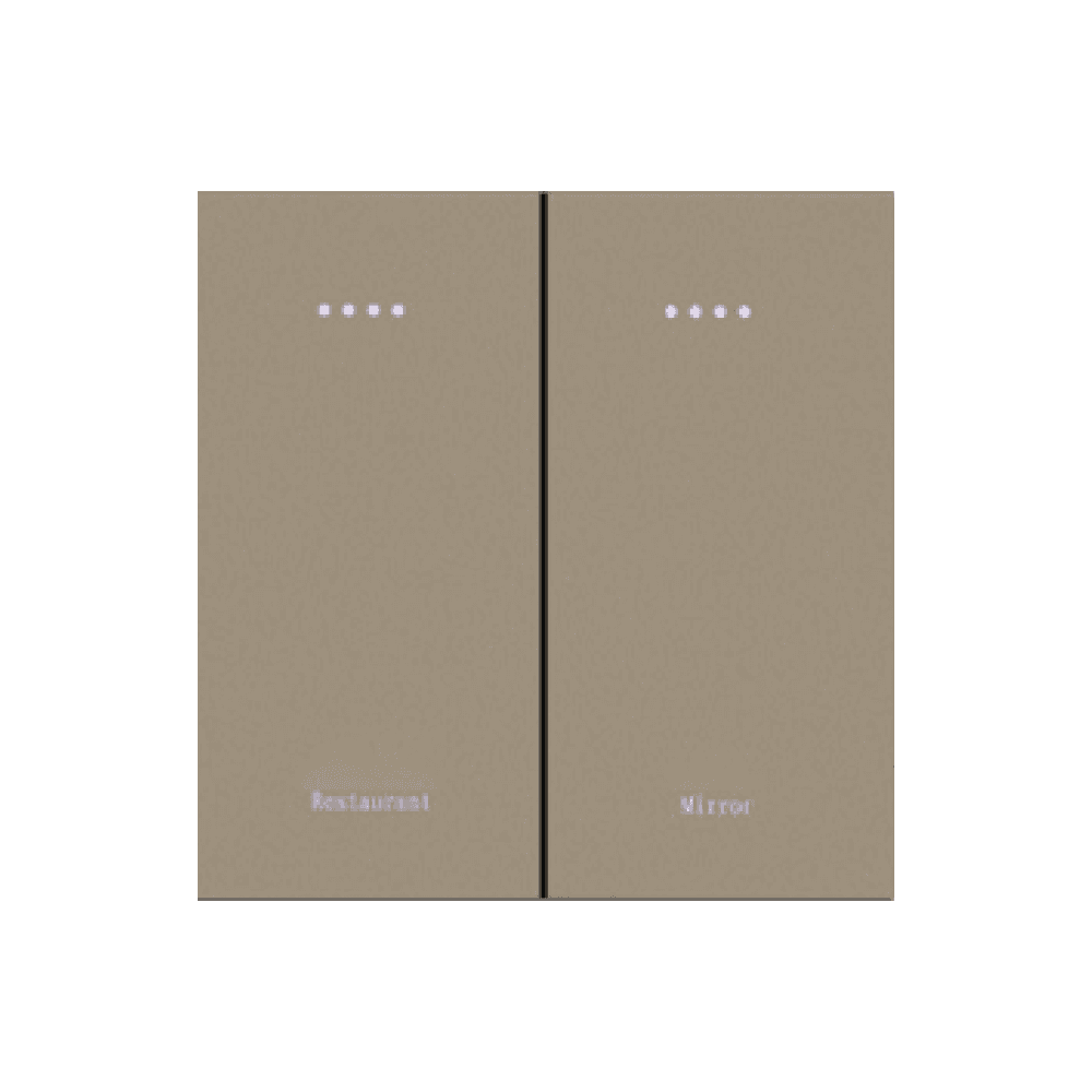 Smart Switch/ 2 gang PC switch (SW-P-2 )
