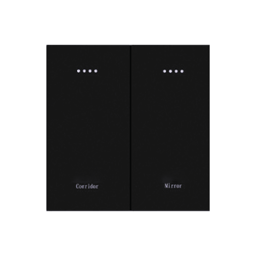 Smart Switch/ 2 gang PC switch (SW-P-2 ) 1