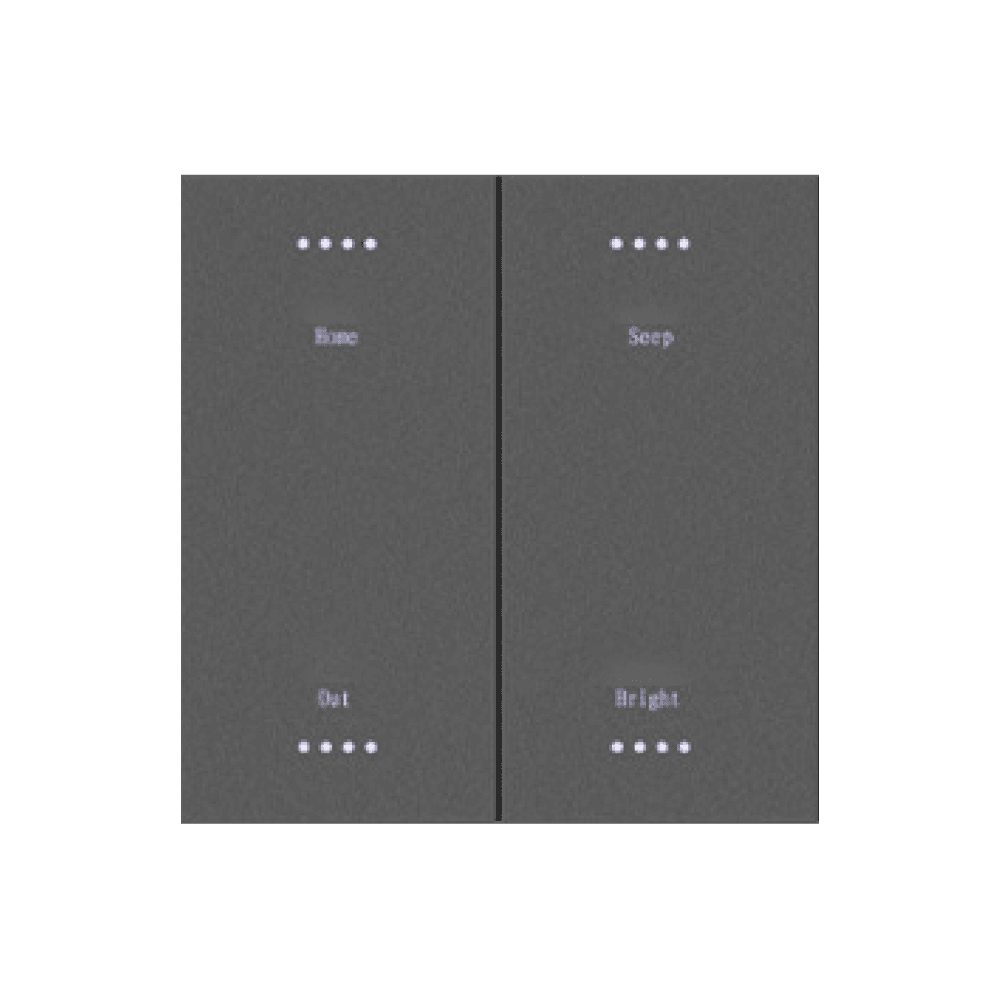 Smart Switch/ 2 gang PC switch (SW-P-2 ) 2
