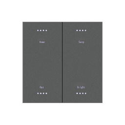 Smart Switch/ 2 gang PC switch (SW-P-2 ) 2