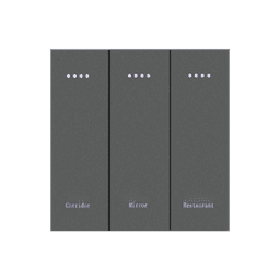 Smart Switch/ 3 gang PC switch (SW-P-3 ) 0