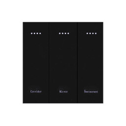 Smart Switch/ 3 gang PC switch (SW-P-3 ) 1