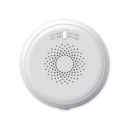 Gas Sensor (GS-1) 0